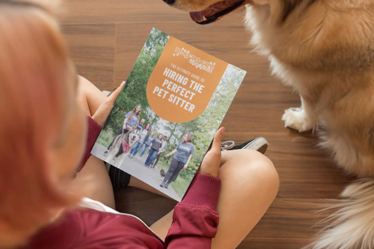 Hiring a Pet Sitter in Berks County | Free Checklist