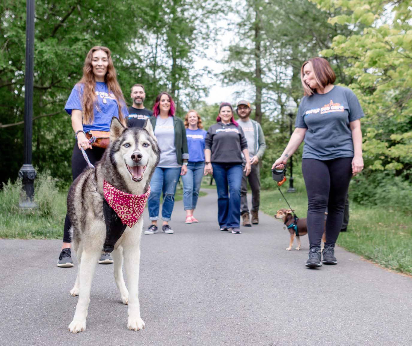 Why Our Pet Sitting Team in Berks County Takes a Collaborative Approach to Pet Care | Berks Pet Care