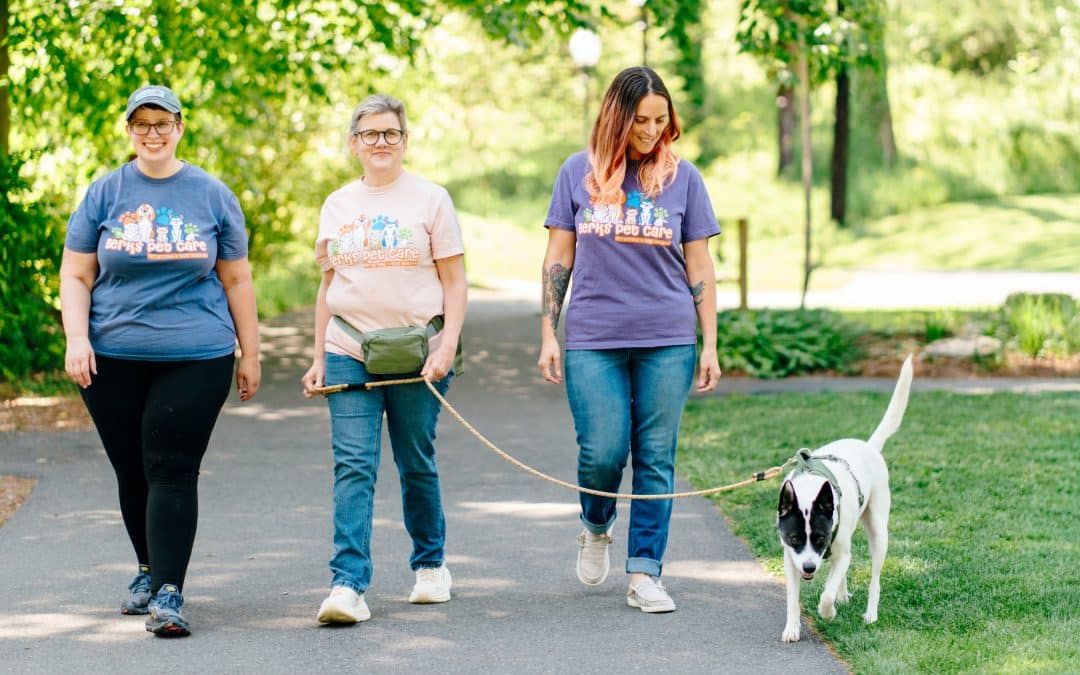 Why Our Professional Pet Sitting Team in Berks County Takes a Collaborative Approach to Pet Care