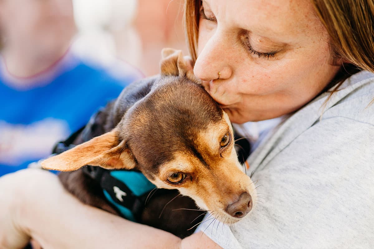 Pet Sitting FAQs | Berks Pet Care