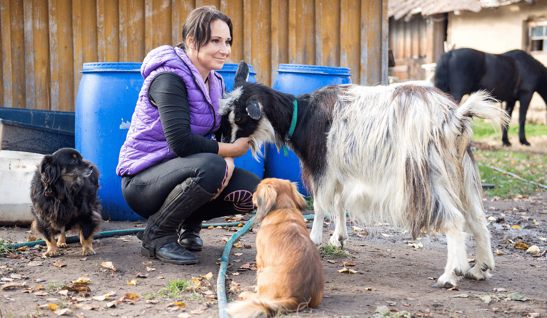 Pet Sitting Farm Animals: What to Expect From Professionals