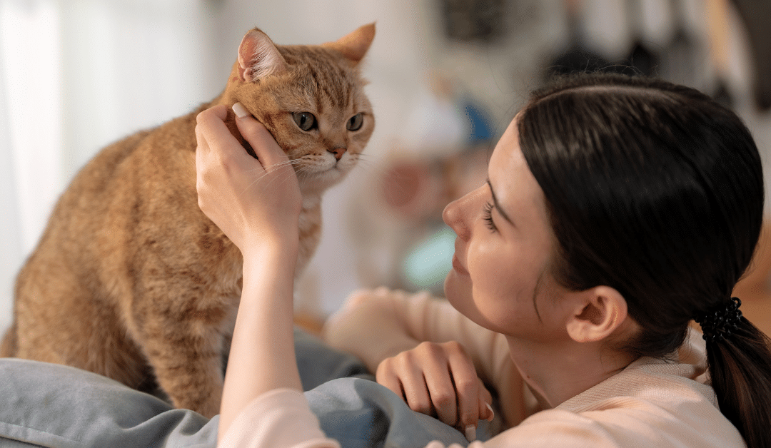 Why Automated Feeders, Water Fountains, and Litter Boxes Don’t Replace a Pet Sitter