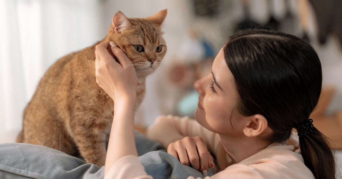 pet sitter